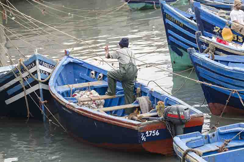 296 -Marruecos - Essaouira - puerto pesquero
